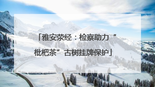 雅安荥经：检察助力“枇杷茶”古树挂牌保护