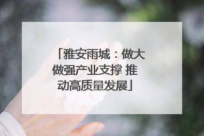 雅安雨城：做大做强产业支撑 推动高质量发展