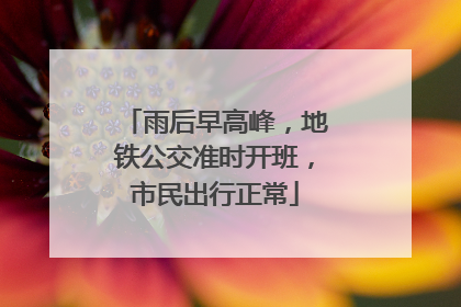 雨后早高峰，地铁公交准时开班，市民出行正常