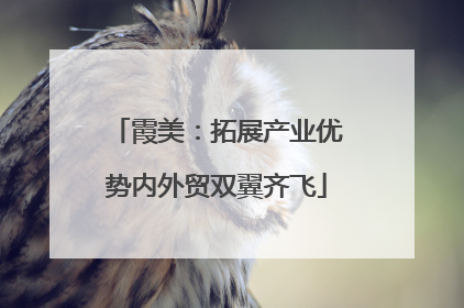 霞美：拓展产业优势内外贸双翼齐飞