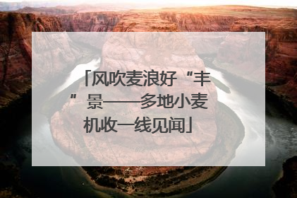 风吹麦浪好“丰”景——多地小麦机收一线见闻
