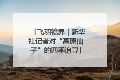 飞羽镜界｜新华社记者对“高原仙子”的四季追寻