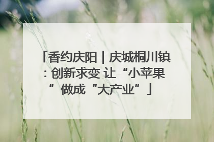 香约庆阳｜庆城桐川镇：创新求变 让“小苹果”做成“大产业”