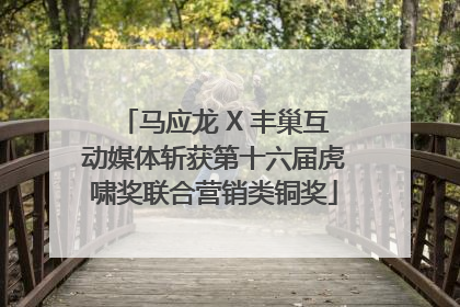 马应龙 X 丰巢互动媒体斩获第十六届虎啸奖联合营销类铜奖