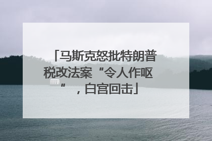 马斯克怒批特朗普税改法案“令人作呕”，白宫回击