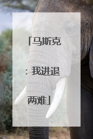 马斯克：我进退两难