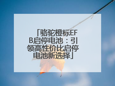 骆驼橙标EFB启停电池：引领高性价比启停电池新选择