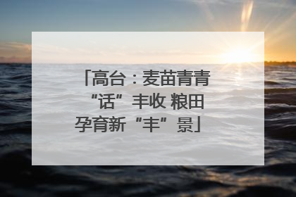 高台：麦苗青青“话”丰收 粮田孕育新“丰”景