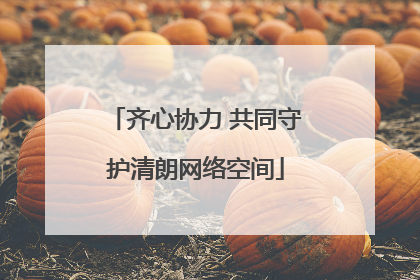 齐心协力 共同守护清朗网络空间