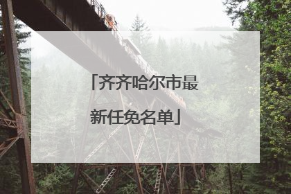 齐齐哈尔市最新任免名单