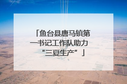 鱼台县唐马镇第一书记工作队助力“三夏生产”
