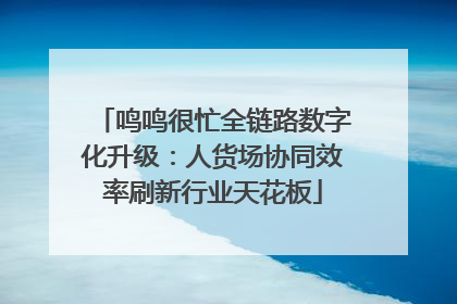 鸣鸣很忙全链路数字化升级：人货场协同效率刷新行业天花板