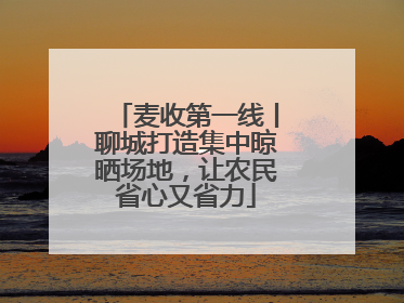 麦收第一线丨聊城打造集中晾晒场地，让农民省心又省力
