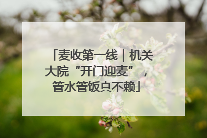 麦收第一线｜机关大院“开门迎麦”，管水管饭真不赖