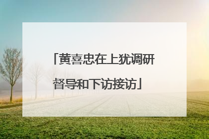 黄喜忠在上犹调研督导和下访接访