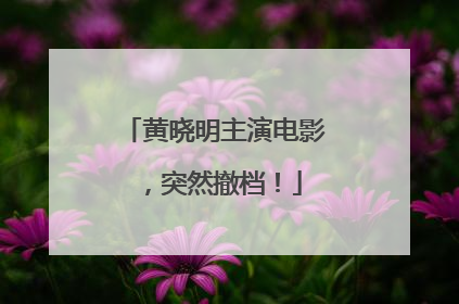 黄晓明主演电影，突然撤档！