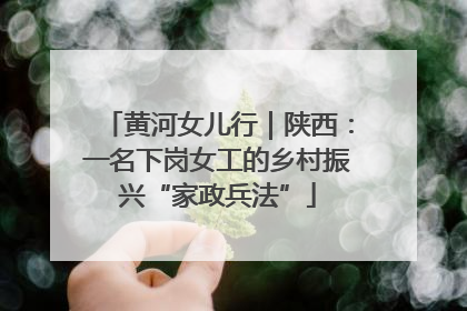 黄河女儿行｜陕西：一名下岗女工的乡村振兴“家政兵法”