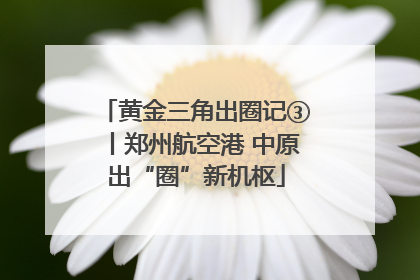 黄金三角出圈记③丨郑州航空港 中原出“圈”新机枢