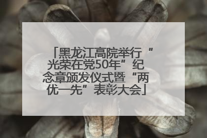 黑龙江高院举行“光荣在党50年”纪念章颁发仪式暨“两优一先”表彰大会
