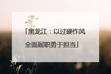 黑龙江：以过硬作风全面履职勇于担当