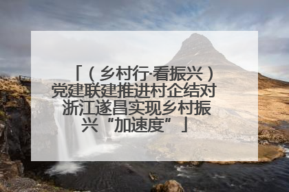 （乡村行·看振兴）党建联建推进村企结对 浙江遂昌实现乡村振兴“加速度”