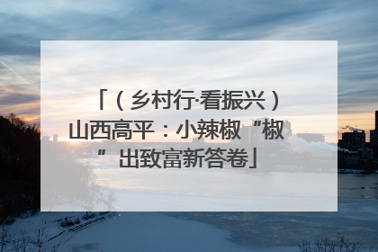 （乡村行·看振兴）山西高平：小辣椒“椒”出致富新答卷