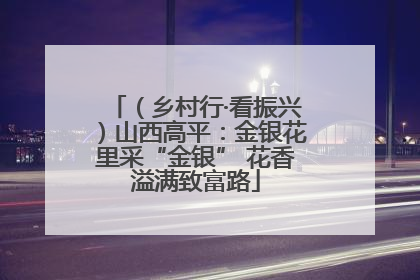 （乡村行·看振兴）山西高平：金银花里采“金银” 花香溢满致富路