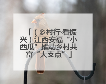 （乡村行·看振兴）江西安福“小西瓜”撬动乡村共富“大支点”