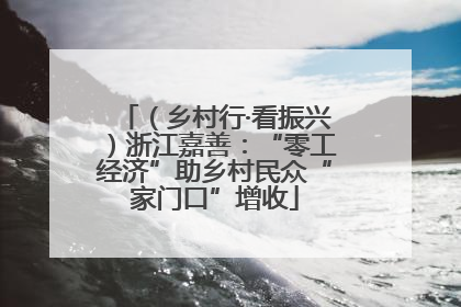 （乡村行·看振兴）浙江嘉善：“零工经济”助乡村民众“家门口”增收