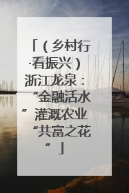 （乡村行·看振兴）浙江龙泉：“金融活水”灌溉农业“共富之花”