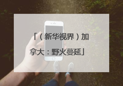 （新华视界）加拿大：野火蔓延