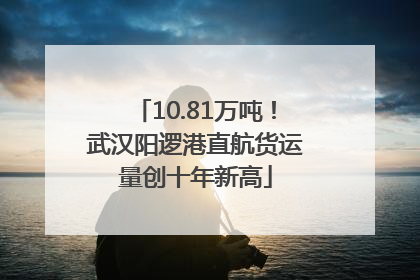 10.81万吨！武汉阳逻港直航货运量创十年新高