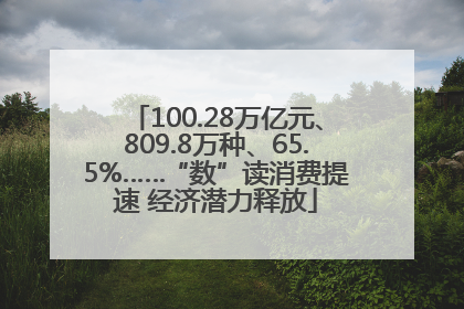 100.28万亿元、809.8万种、65.5%……“数”读消费提速 经济潜力释放