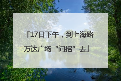 17日下午，到上海路万达广场“问招”去