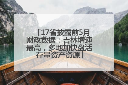 17省披露前5月财政数据：吉林增速最高，多地加快盘活存量资产资源