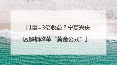1亩=3倍收益？宁夏兴庆区解锁改革“黄金公式”