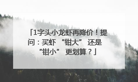 1字头小龙虾再降价！提问：买虾 “钳大” 还是 “钳小” 更划算？