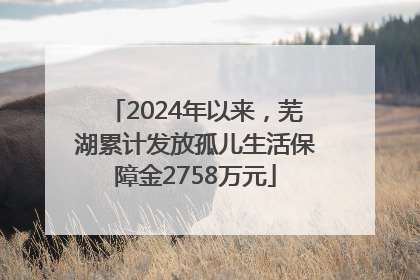 2024年以来，芜湖累计发放孤儿生活保障金2758万元