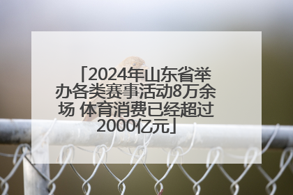 2024年山东省举办各类赛事活动8万余场 体育消费已经超过2000亿元