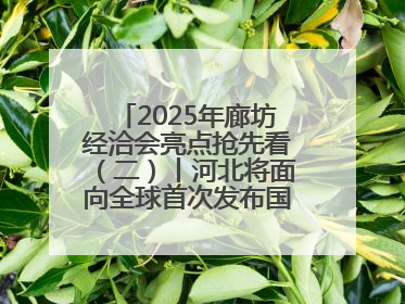 2025年廊坊经洽会亮点抢先看（二）丨河北将面向全球首次发布国际化招商地图