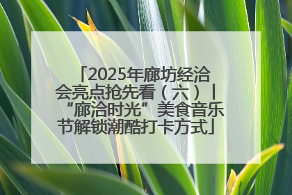 2025年廊坊经洽会亮点抢先看（六）丨“廊洽时光”美食音乐节解锁潮酷打卡方式