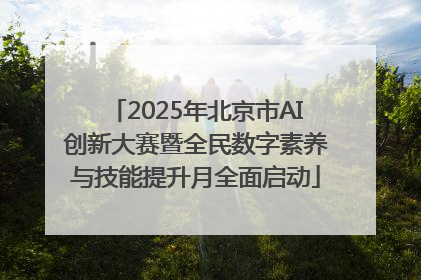 2025年北京市AI创新大赛暨全民数字素养与技能提升月全面启动