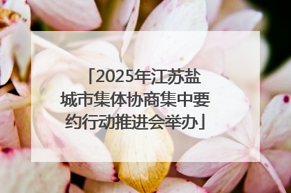 2025年江苏盐城市集体协商集中要约行动推进会举办