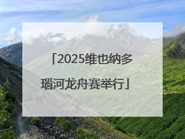 2025维也纳多瑙河龙舟赛举行