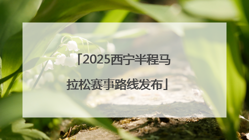 2025西宁半程马拉松赛事路线发布