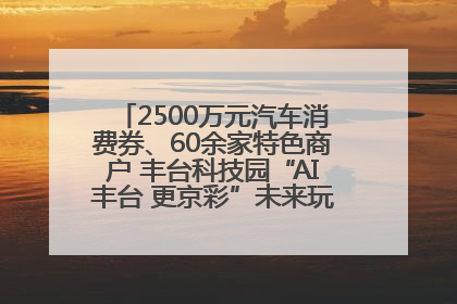 2500万元汽车消费券、60余家特色商户 丰台科技园“AI丰台 更京彩”未来玩家市集活动正式开幕