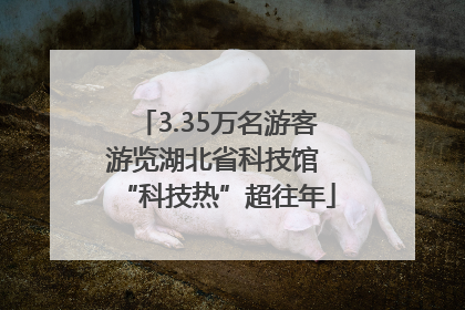 3.35万名游客游览湖北省科技馆 “科技热”超往年