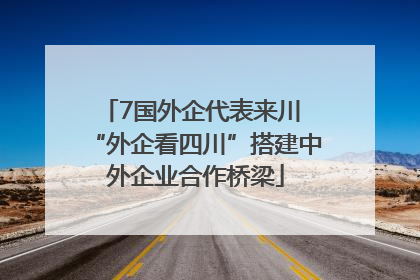 7国外企代表来川 “外企看四川”搭建中外企业合作桥梁