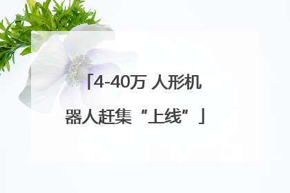4-40万 人形机器人赶集“上线”