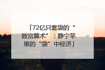 72亿只套袋的“致富算术”：静宁苹果的“袋”中经济
